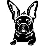 4237_dog_wearing_bunny_ears_7603.jpeg