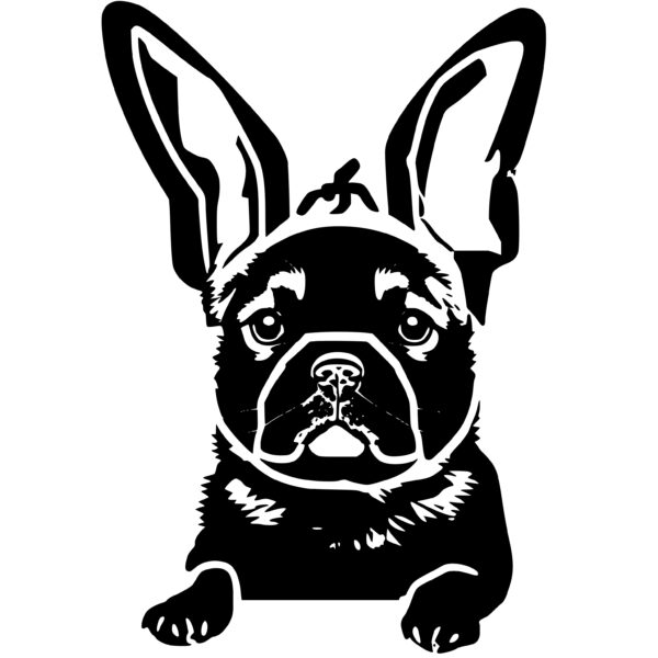 4237_dog_wearing_bunny_ears_7603.jpeg