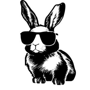 Rabbit Wearing Sunglasses