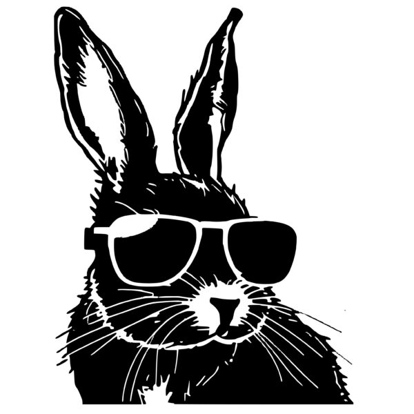 4291_rabbit_wearing_sunglasses_3503.jpeg