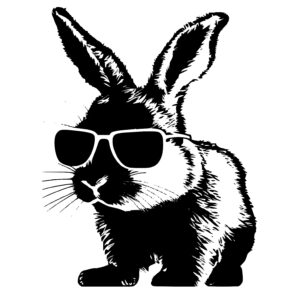 Rabbit Wearing Sunglasses