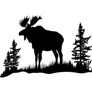 Moose in Nature