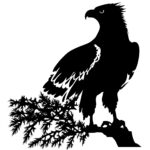 Eagle Silhouette