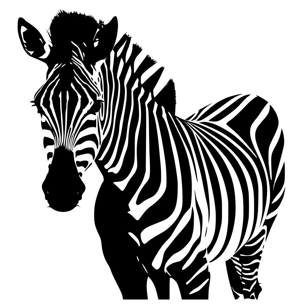 Curious Zebra Gaze SVG File: Instant Download for Cricut, Silhouette ...