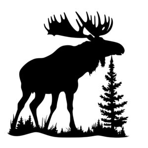 4410_Dreaming_Deer_Moose_8144.jpeg