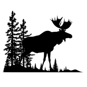 4411_Dreaming_Deer_Moose_1192.jpeg