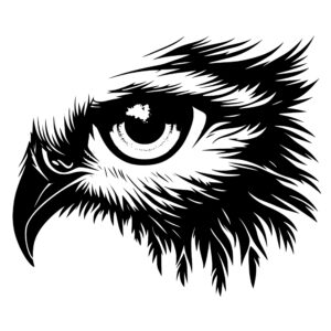 4423_Eye_of_the_Eagle_8924.jpeg