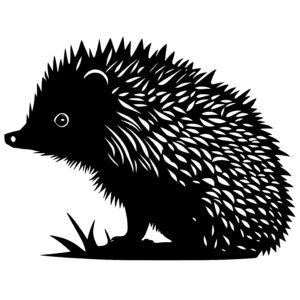 Furry Hedgehog