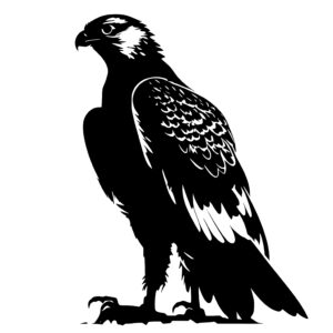 Fierce Falcon Eagle