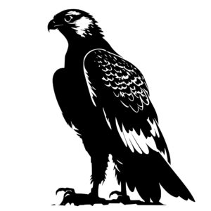 4436_Fierce_Falcon_Eagle_4929.jpeg