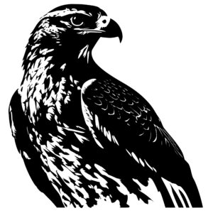 4438_Fierce_Falcon_Eagle_6817.jpeg