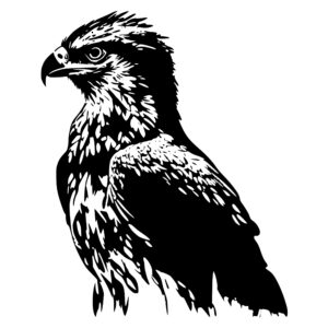 4439_Fierce_Falcon_Eagle_2334.jpeg