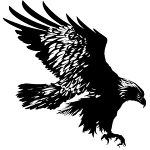 Flying Freedom Eagle