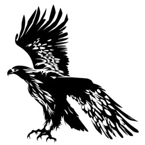 4446_Gliding_Graceful_Eagle_9475.jpeg