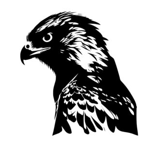 4469_Hunting_Hawk_Eagle_2576.jpeg