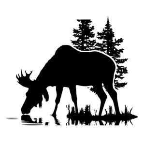 4486_Mellow_Moose_Munching_1367.jpeg