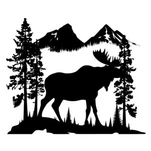 Mountain Moose