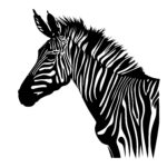 Noble Zebra
