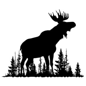 4540_Proud_Ponder_Moose_2983.jpeg