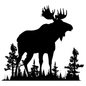 4541_Proud_Ponder_Moose_7853.jpeg