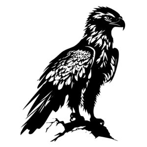 Raptor Eagle