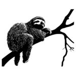 4564_Relaxed_Sloth_Recline_7902.jpeg