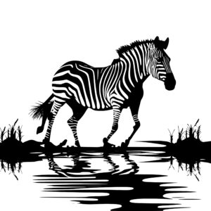 4568_Running_River_Zebra_8091.jpeg