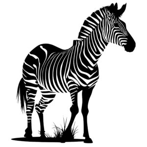4574_Shimmering_Striped_Zebra_8416.jpeg