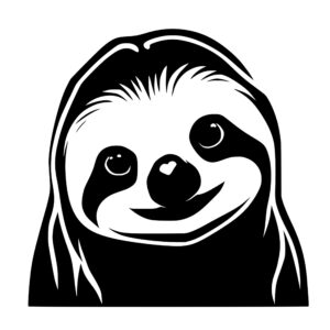 4580_Smiling_Sloth_Face_7022.jpeg