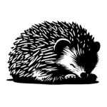 Hedgehog Napping