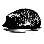 4586_Sleepy_Hedgehog_Snooze_7689.jpeg