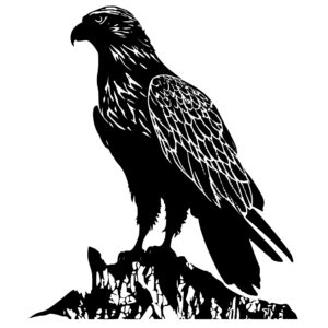 4588_Solitary_Sentinel_Eagle_9005.jpeg