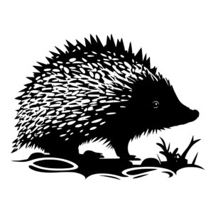 4602_Soothing_Sea_Hedgehog_4218.jpeg