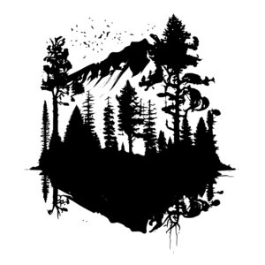 4624_The_Mystery_of_the_Treeline_5977.jpeg