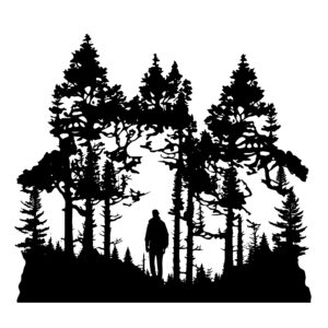 Man Walking in Treelined Forest