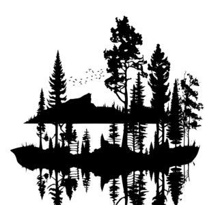 4648_Treeline_Tranquility_1178.jpeg