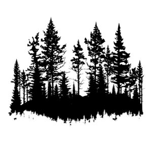 4650_Treeline_Wonders_7091.jpeg