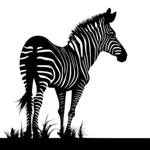 4659_Vibrant_Wildlife_Zebra_7312.jpeg