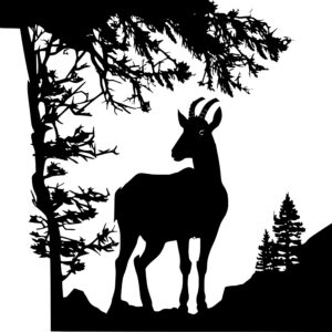 4672_Wild_and_Free_Goat_2653.jpeg