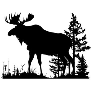 Wild Wilderness Moose