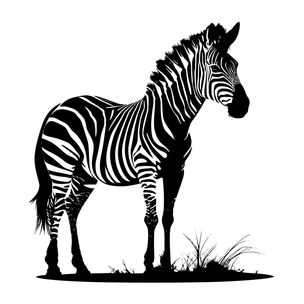 Download Wild Zebra SVG/PNG/DXF File for Cricut, Silhouette, Laser