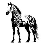 4687_Appaloosa_Horse_Stripes_4268.jpeg