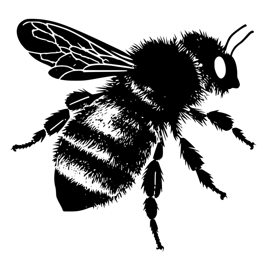 realistic-bee-svg-file-instant-download-for-cricut-silhouette-laser