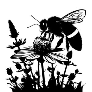 4708_Buzzing_bee_on_a_flower_9433.jpeg