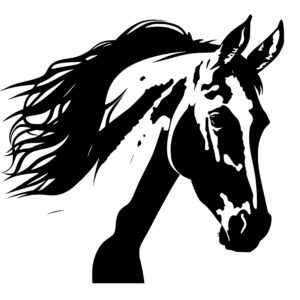 4754_Horse_Headshot_6601.jpeg