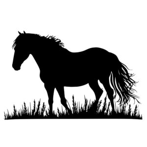 4764_Horse_Grazing_5642.jpeg