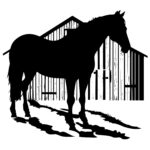 Horse in Front of Barn