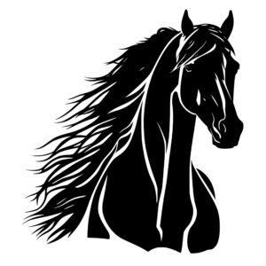 4773_Horse_Mane_6512.jpeg