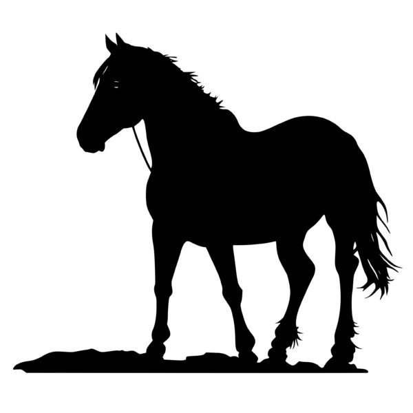 4782_Horse_with_a_Saddle_6821.jpeg