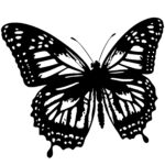 4814_Majestic_monarch_butterfly_8174.jpeg